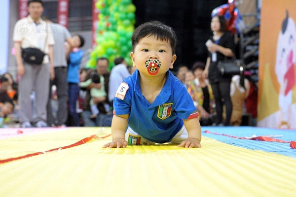 Trẻ em Nhật 1 tuổi được bố mẹ cho tham gia các cuộc thi bò